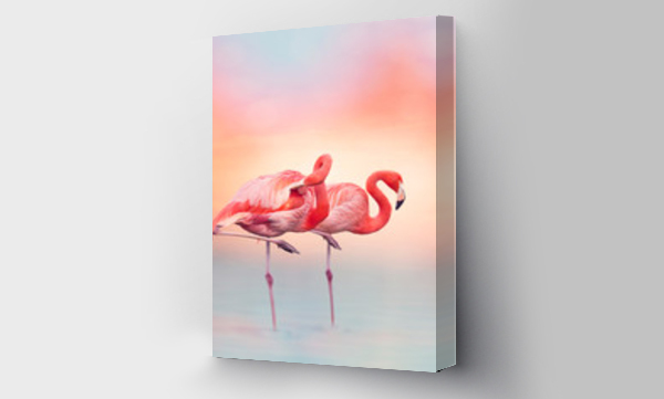 Dwa różowe flamingi przy zachodzie słońca