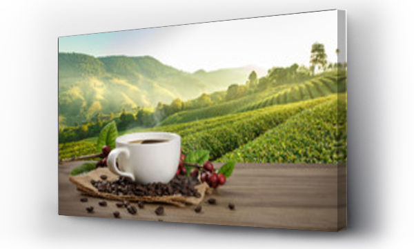 coffee vintage, Kawa, natura