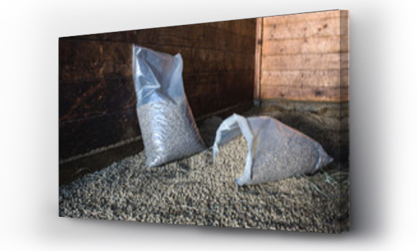 koń, worek, zwierzęta