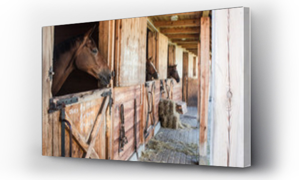 granulki jako podściółka dla koni