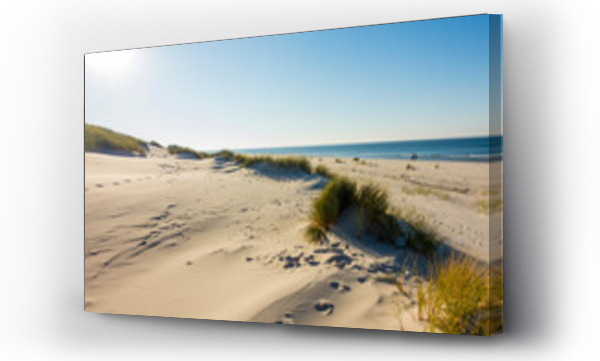 Bałtyk, bałtyk plaża, morze, plaża, polskie morze, trawa piasek