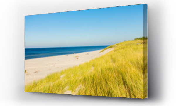 Bałtyk, morze, plaża, polskie morze, trawa piasek