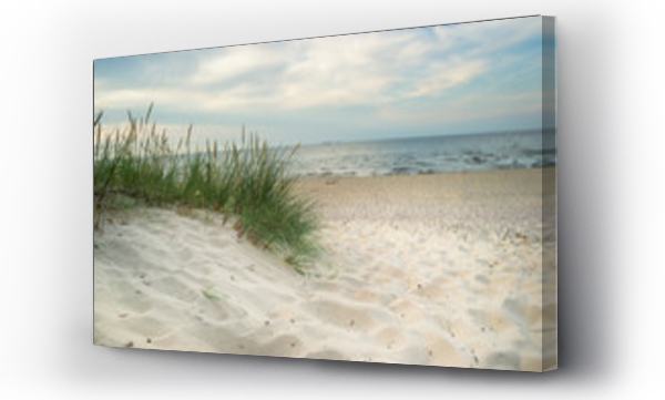 Gdańsk morze, morze, morze bałtyckie, plaża, trawa piasek