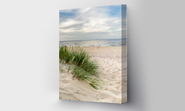 Bałtyk słońce, Gdańsk morze, morze, plaża, trawa, trawa piasek