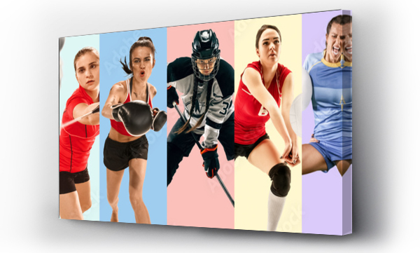 Kreatywny kolaż wykonany z fotografii 9 modelek. Tenis, pole vault, badminton, hokej, siatkówka, piłka nożna, piłka nożna, snowboarding kobiet graczy lub zespołu. Sport, akcja, zdrowy styl życia pojęcie.