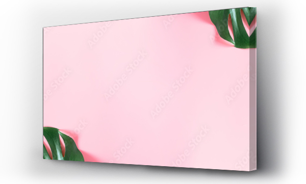 Wizualizacja Obrazu : #278257279 Summer concept. Green leaves monstera on pink background. Flat lay, top view, copy space, banner