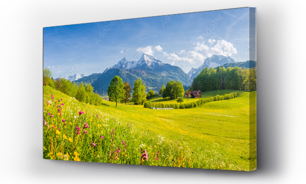 Wizualizacja Obrazu : #279673798 Idylliczna sceneria górska w Alpach z kwitnącymi łąkami na wiosnę