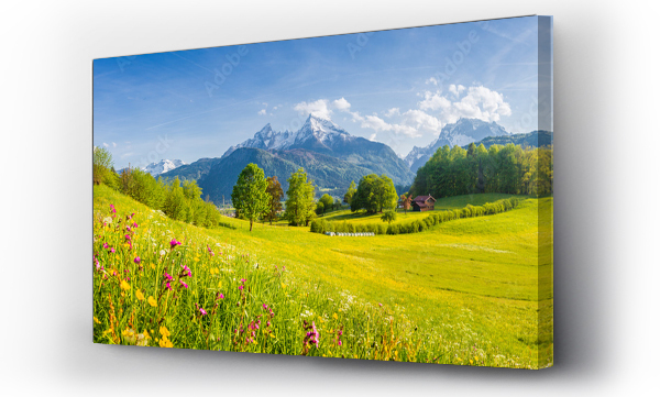 Wizualizacja Obrazu : #279673798 Idyllic mountain scenery in the Alps with blooming meadows in springtime