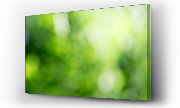 Wizualizacja Obrazu : #280281281 Green bokeh background from nature forest out of focus