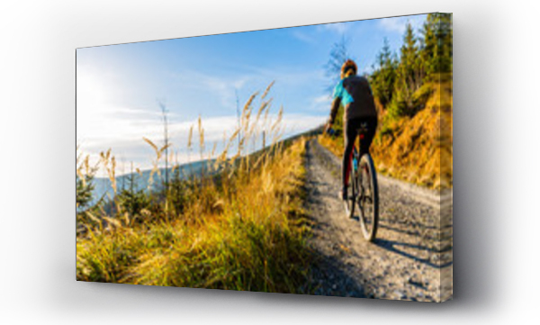 Kolarstwo górskie kobieta jazda na rowerze w lecie góry krajobraz leśny. Kobieta jazda na rowerze MTB przepływ szlaku. Aktywność sportowa na świeżym powietrzu.