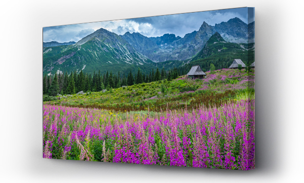 góry, Hala gasienicowa, krajobraz, Tatry, tatry lato