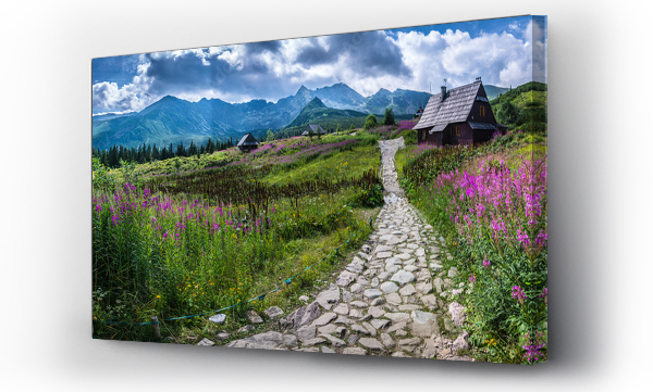góry, Hala gasienicowa, krajobraz, Tatry, tatry lato