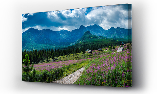 góry, Hala gasienicowa, Tatry
