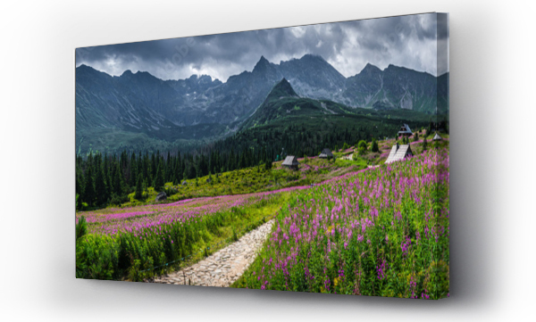 góry, Hala gasienicowa, Tatry