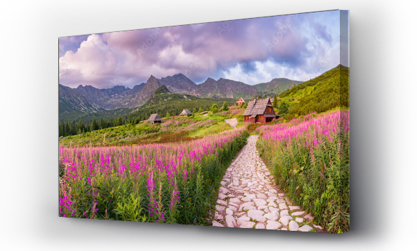 Hala gasienicowa, Panorama