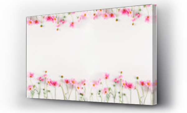 Wizualizacja Obrazu : #284723512 Beautiful flowers composition. Pink cosmos flowers on white background. Flat lay, top view, copy space