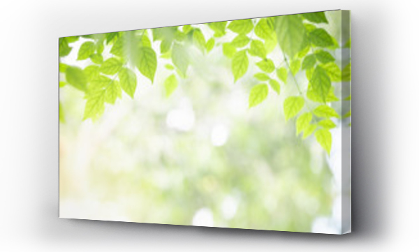 Liście, natura, zieleń