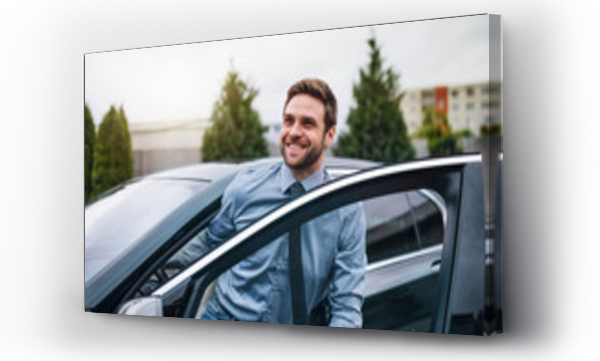 samochód, samochody