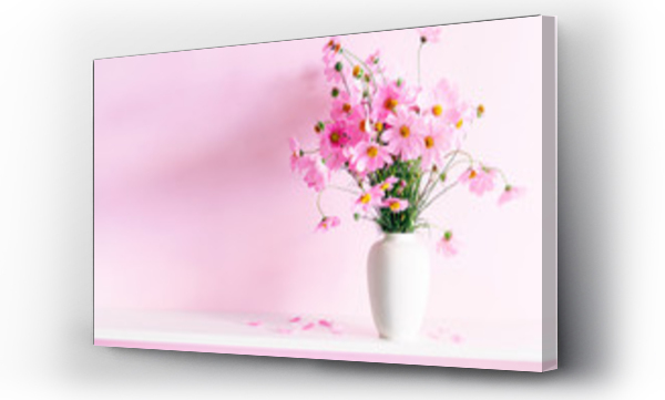 Świeży letni bukiet różowych kwiatów kosmosu w białym wazonie na białej półce z drewna na różowym tle ściany. Kwiatowy wystrój domu.
