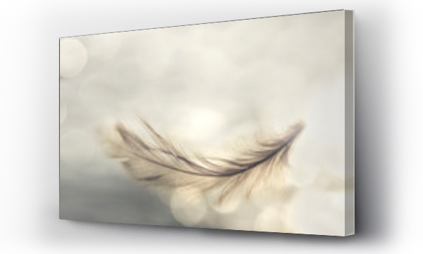 Wizualizacja Obrazu : #284985819 feather flies gently into the sky, concept of lightness