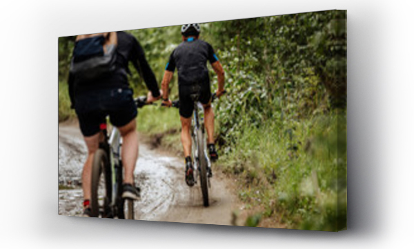 Wizualizacja Obrazu : #285047090 back two cyclists riding mountain bike on dirty trail in forest