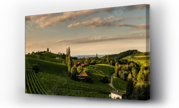 Wizualizacja Obrazu : #285489709 Panorama view of Vineyards in summer in south Styria, Austria tourist spot, travel destination.
