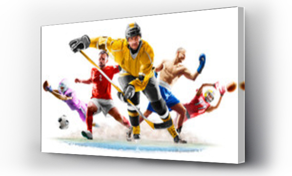 Wizualizacja Obrazu : #287039875 Multi sport collage football boxing soccer ice hockey on white background