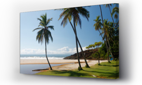 morze, palmami, Plaża ocean