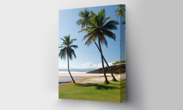 palmami, plaża