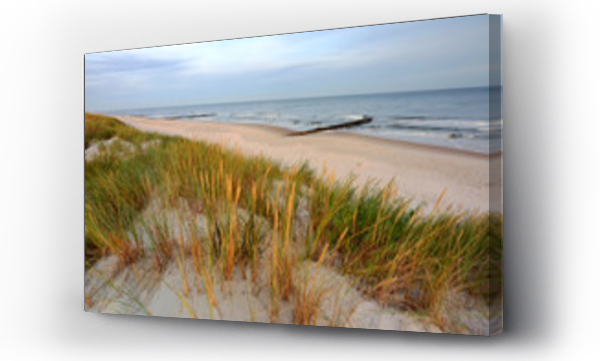 Bałtyk, dzika plaża, morze