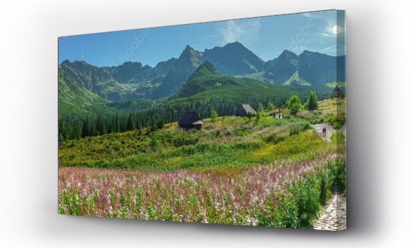 góry, Hala gasienicowa, kościelec, Tatry