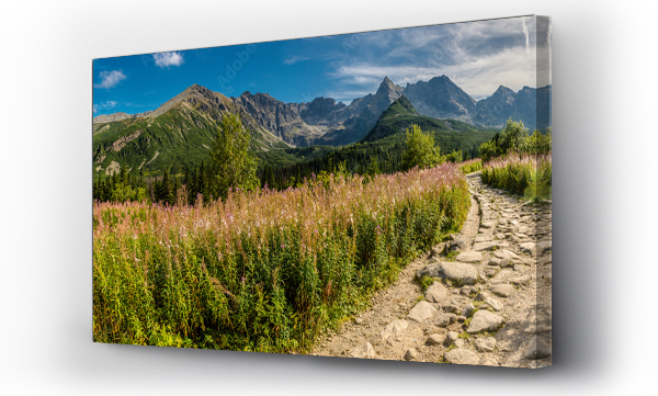 góry, Hala gasienicowa, kościelec, Tatry