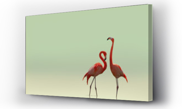 Para flamingów na gładkim płaskim tle