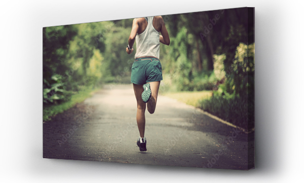 Wizualizacja Obrazu : #290904251 Kobieta biegnąca na letniej ścieżce w parku. Zdrowy fitness kobieta jogging na świeżym powietrzu.