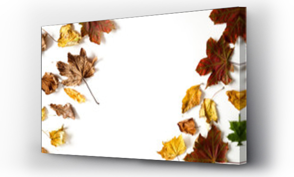 jesienne, jesienne liście, liść klonu, Liście, na białym tle