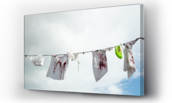 Wizualizacja Obrazu : #292340602 Bloody clothes hanging on a rope on sky background
