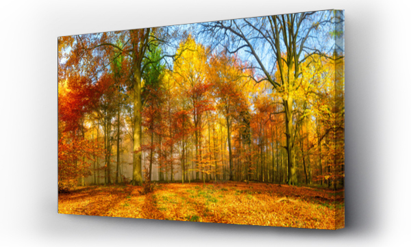 Kolorowa panorama lasu jesienią