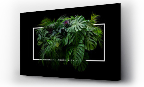 Wizualizacja Obrazu : #294232435 Tropikalne liście liście jungle roślina krzak kwiatowy układ natury tło z białą ramką na czarnym tle.