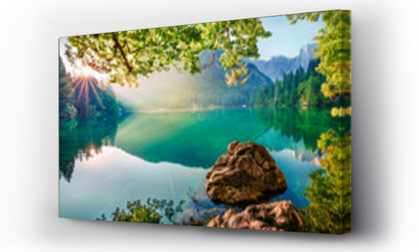 Krajobrazy, las, natura, widok