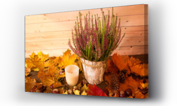 jesienne, jesienne liście, Kwiaty, złote