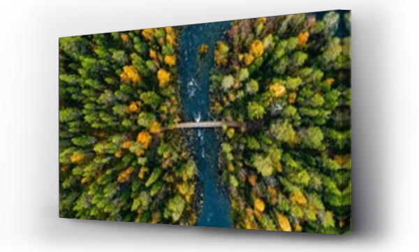Wizualizacja Obrazu : #295462386 Aerial view of fast river flow through the rocks and colorful forest. Autumn in Finland