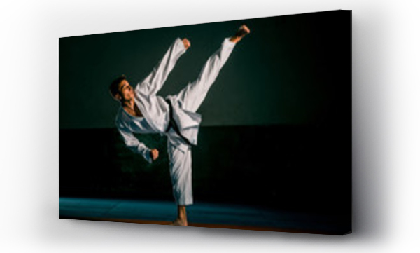 Wizualizacja Obrazu : #295473840 The man in a kimono practicing karate moves