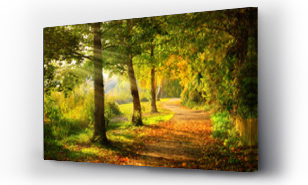Spokojna ścieżka w parku jesienią, z promieniami światła wpadającymi przez drzewa