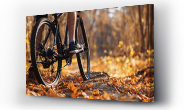 Wizualizacja Obrazu : #296146439 Male cyclist riding a bike in the autumn forest in warm weather. Active lifestyle