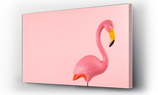 flamingi