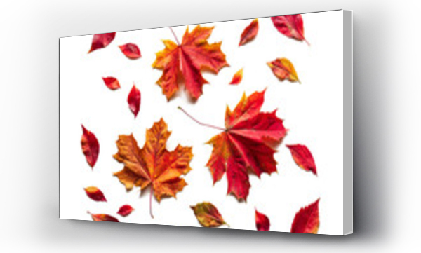 jesienne, jesienne liście, Liście