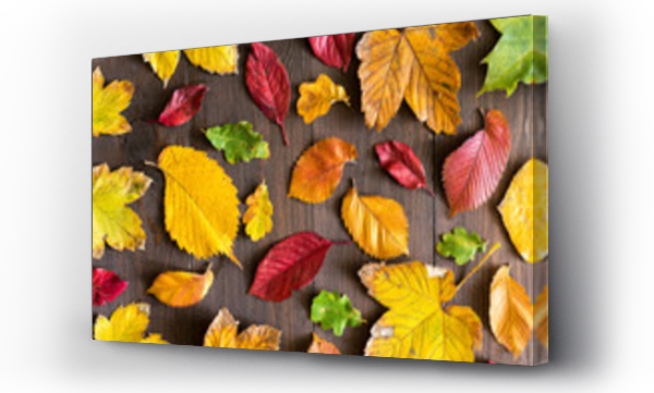 dziękczynienie, jesień, Liście, zlota polska jesien, złota, złoty