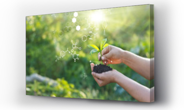 charakter, natura, symbole