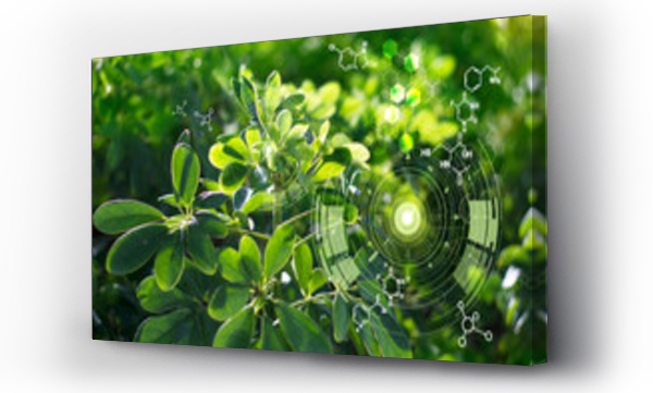 Wizualizacja Obrazu : #298001368 Biologia laboratorium natura i nauka, Rośliny z biochemii struktury na zielonym tle.
