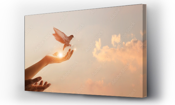 Wizualizacja Obrazu : #298001711 Woman praying and free bird enjoying nature on sunset background, hope concept